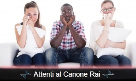 Canone Rai 2014