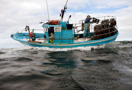 Gara di pesca sportiva