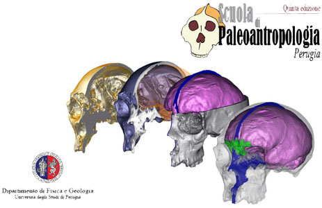 Scuola di Paleoantropologia seconda edizione Unipg