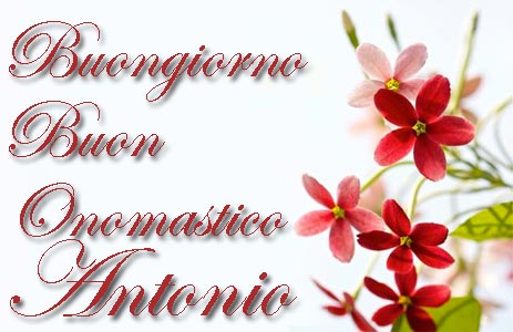 Immagini auguri Antonio