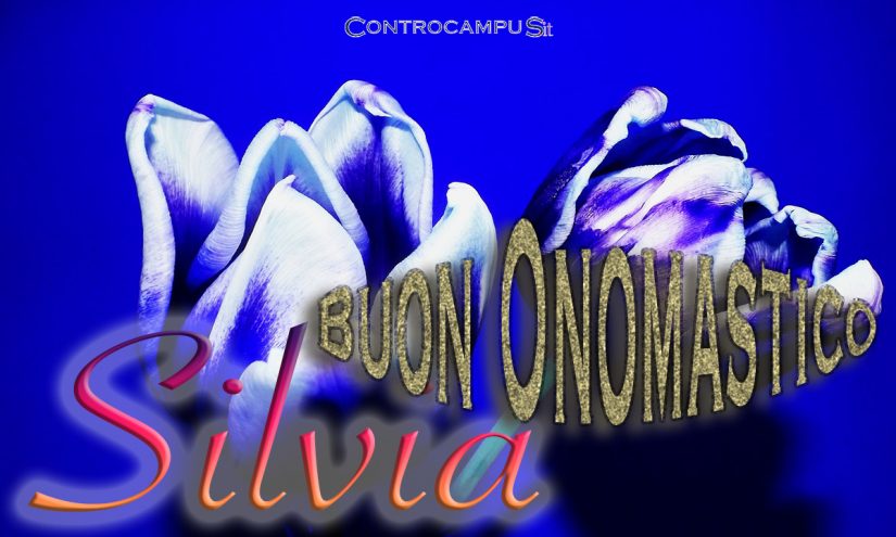 Immagini auguri buon onomastico Santa Silvia