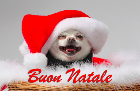 Auguri di Natale 2014