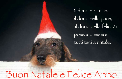 Immagini e frasi di auguri per Natale