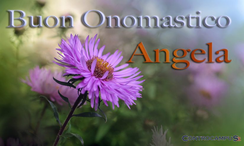 Immagini auguri onomastico per Sant Angela