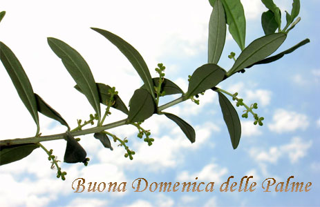 Immagini di buona domenica delle Palme 2016