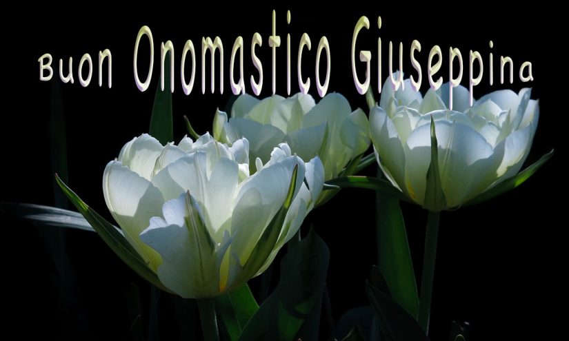 Immagini auguri buon onomastico Giuseppina