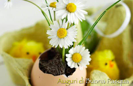 Immagini e idee per Pasqua