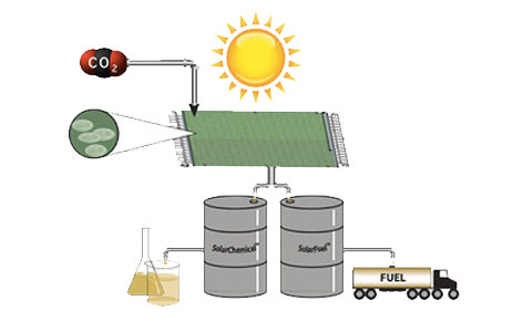 Solar Fuel