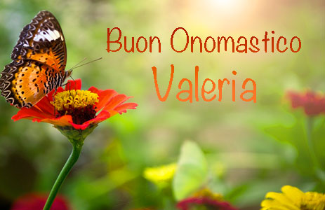 Immagini con frasi di auguri Valeria