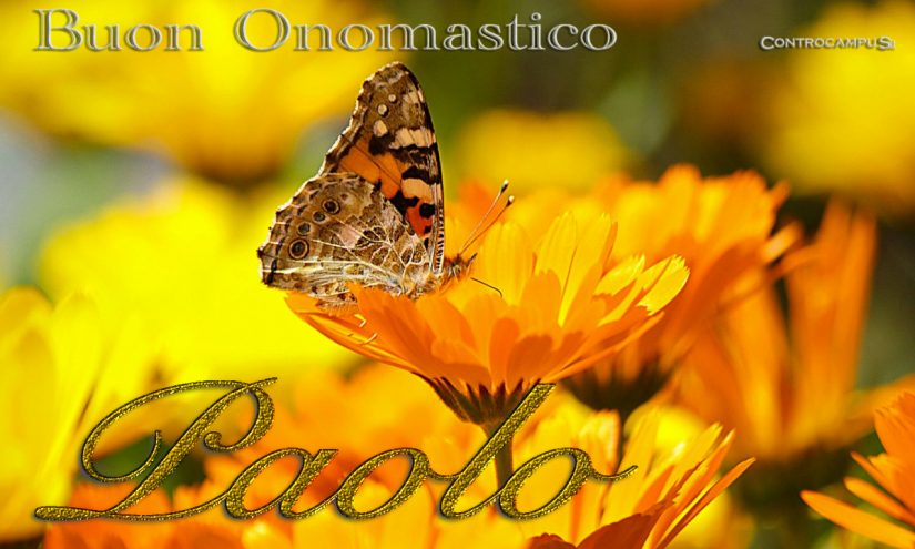 Immagini Auguri Onomastico Paolo