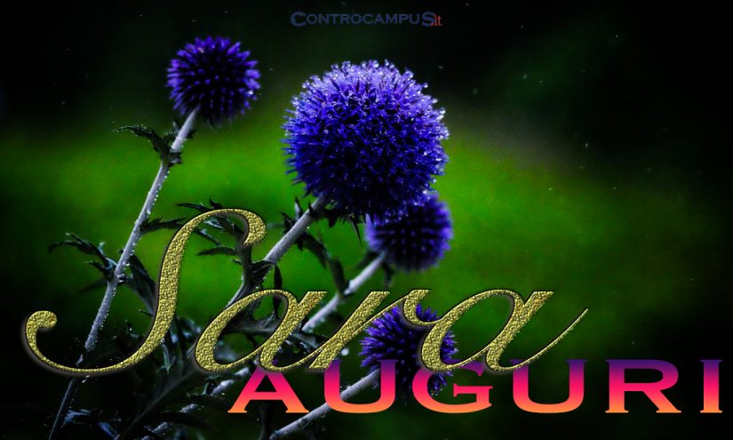 Immaigni auguri buon onomastico Sara