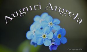 Immagini auguri buon onomastico Angela