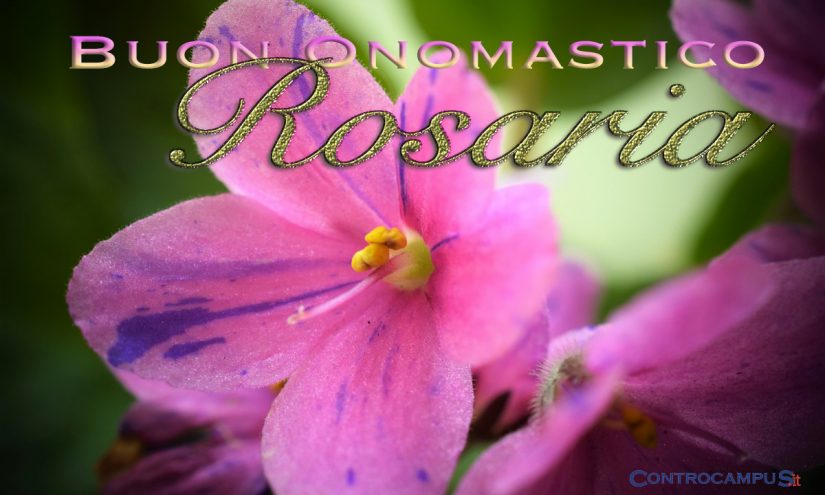 Immagini Auguri Buon Onomastico Rosaria