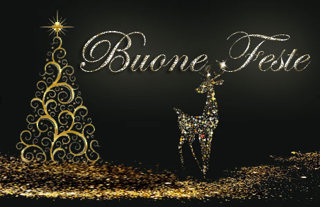 Immagine bella di buone feste 2016