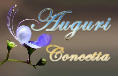 Immagini Auguri Concetta