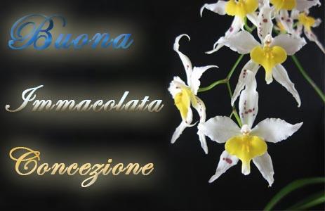 Immacolata Concezione frasi di auguri e immagini