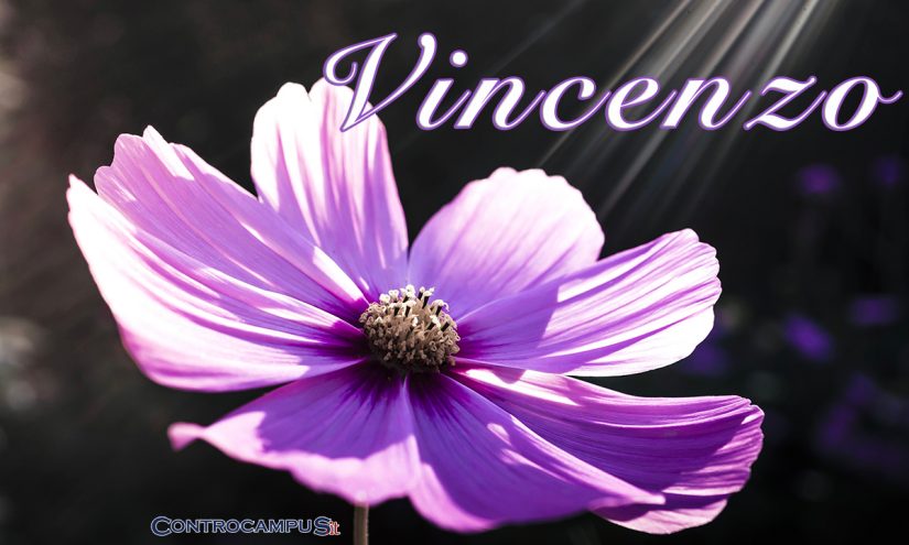 Immagini auguri buon onomastico Vincenzo ed Enzo