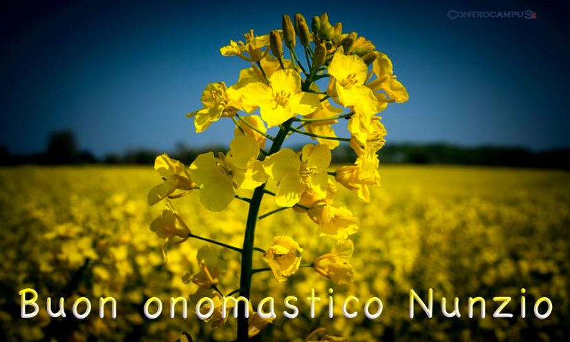 Immagini auguri onomastico per San Nunzio