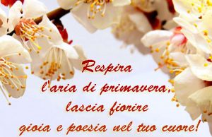 Immagini di buona primavera a tutti: