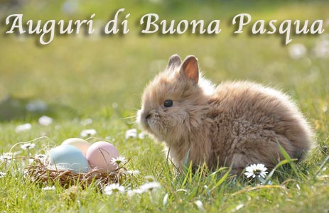 Immagini di auguri di Pasqua semplici