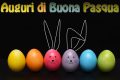 Immagini e frasi di buona Pasqua divertenti