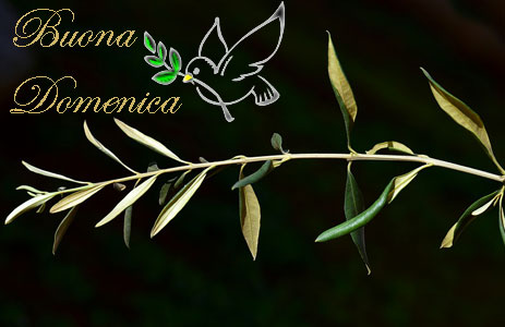 Immagini di buona Domenica delle Palme 2018