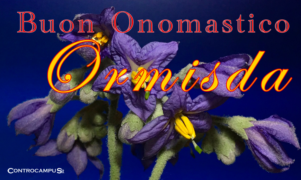 Immagini auguri buon onomastico per Sant Ormisda