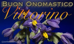 Immagini auguri buon onomastico per San Vittorino