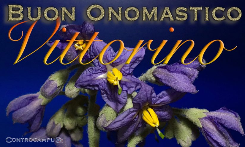 Immagini auguri buon onomastico per San Vittorino