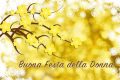 Immagini di buona festa della donna a tutte