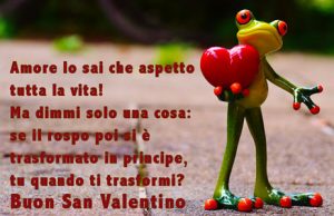 Immagine auguri di San Valentino divertenti