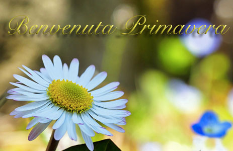 Frasi sulla primavera e immagini fiori di benvenuta primavera