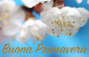 Immagine buona Primavera 2019