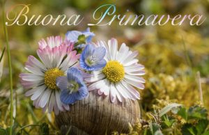 Immagine Buona Primavera 2019