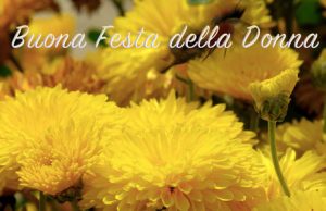 Immagine con frasi per la festa della donna alla sorella