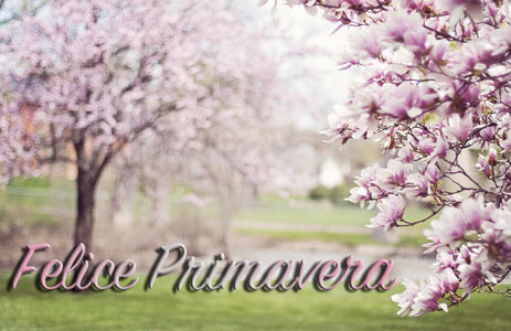 Immagini di Buona Primavera 2019