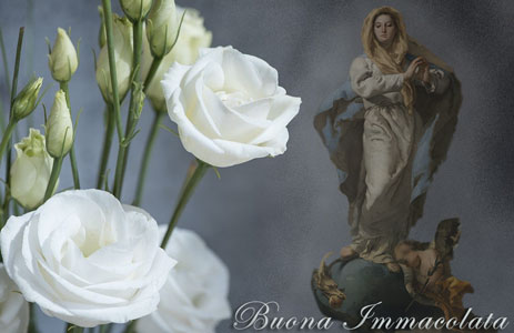 Immagini di Buona Immacolata Concezione a tutti