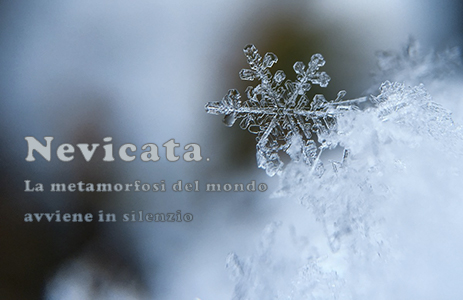 Immagini Giornata Mondiale della Neve