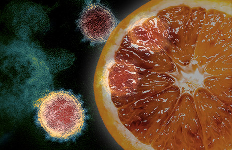 Bufala della Vitamina C contro Coronavirus