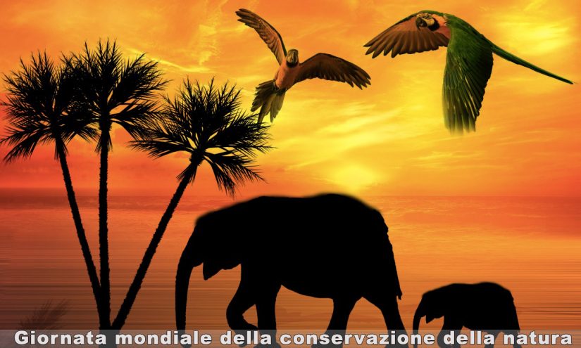 immagine Giornata mondiale della conservazione della natura