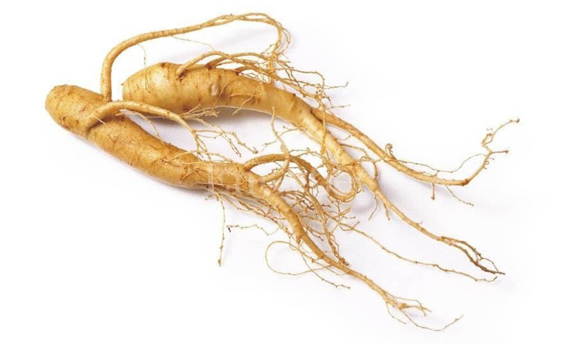 Ginseng